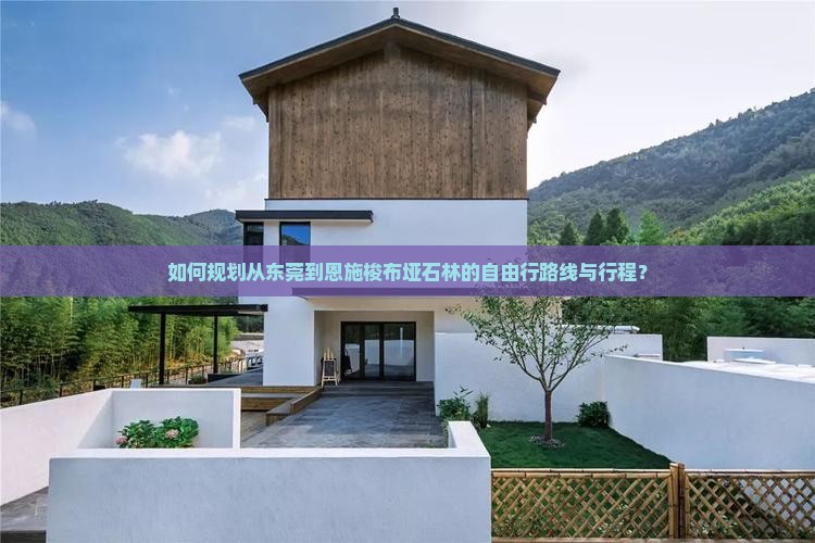 如何规划从东莞到恩施梭布垭石林的自由行路线与行程？