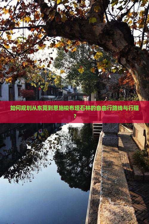 如何规划从东莞到恩施梭布垭石林的自由行路线与行程？