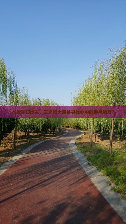 从张家口出发，去恩施大峡谷寻找心中的诗与远方？