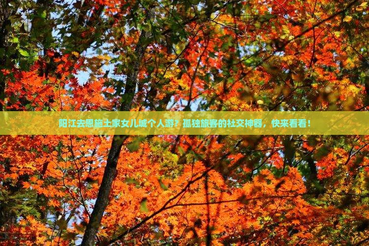 阳江去恩施土家女儿城个人游？孤独旅客的社交神器，快来看看！