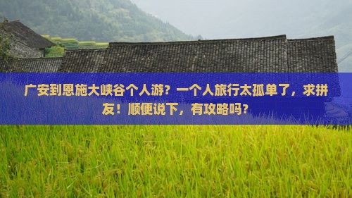 广安到恩施大峡谷个人游？一个人旅行太孤单了，求拼友！顺便说下，有攻略吗？