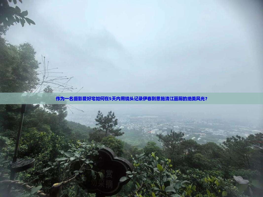 作为一名摄影爱好宅如何在5天内用镜头记录伊春到恩施清江画廊的绝美风光？