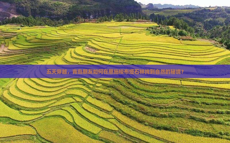五天穿越，青岛朋友如何在恩施梭布垭石林找到自然的秘境？