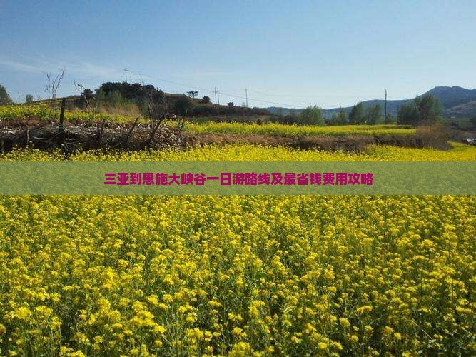 三亚到恩施大峡谷一日游路线及最省钱费用攻略