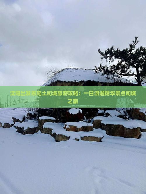 沈阳出发恩施土司城旅游攻略：一日游遍精华景点司城之旅