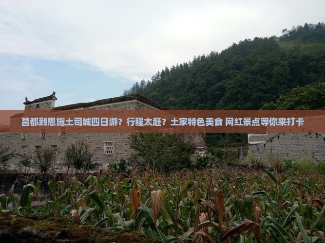 昌都到恩施土司城四日游？行程太赶？土家特色美食+网红景点等你来打卡
