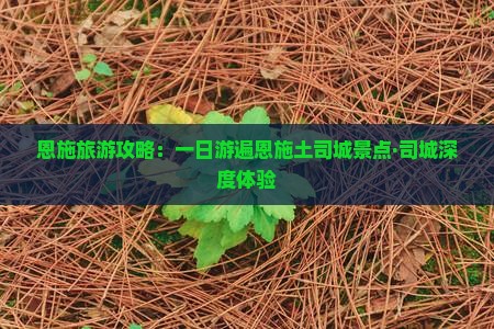 恩施旅游攻略：一日游遍恩施土司城景点·司城深度体验