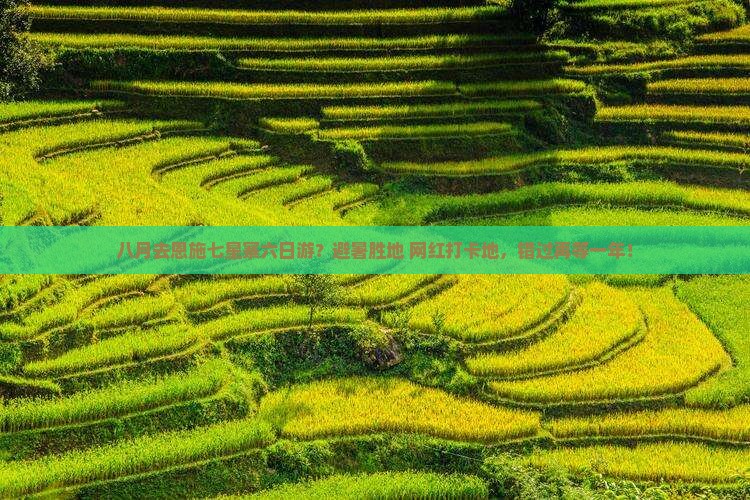 八月去恩施七星寨六日游？避暑胜地+网红打卡地，错过再等一年！