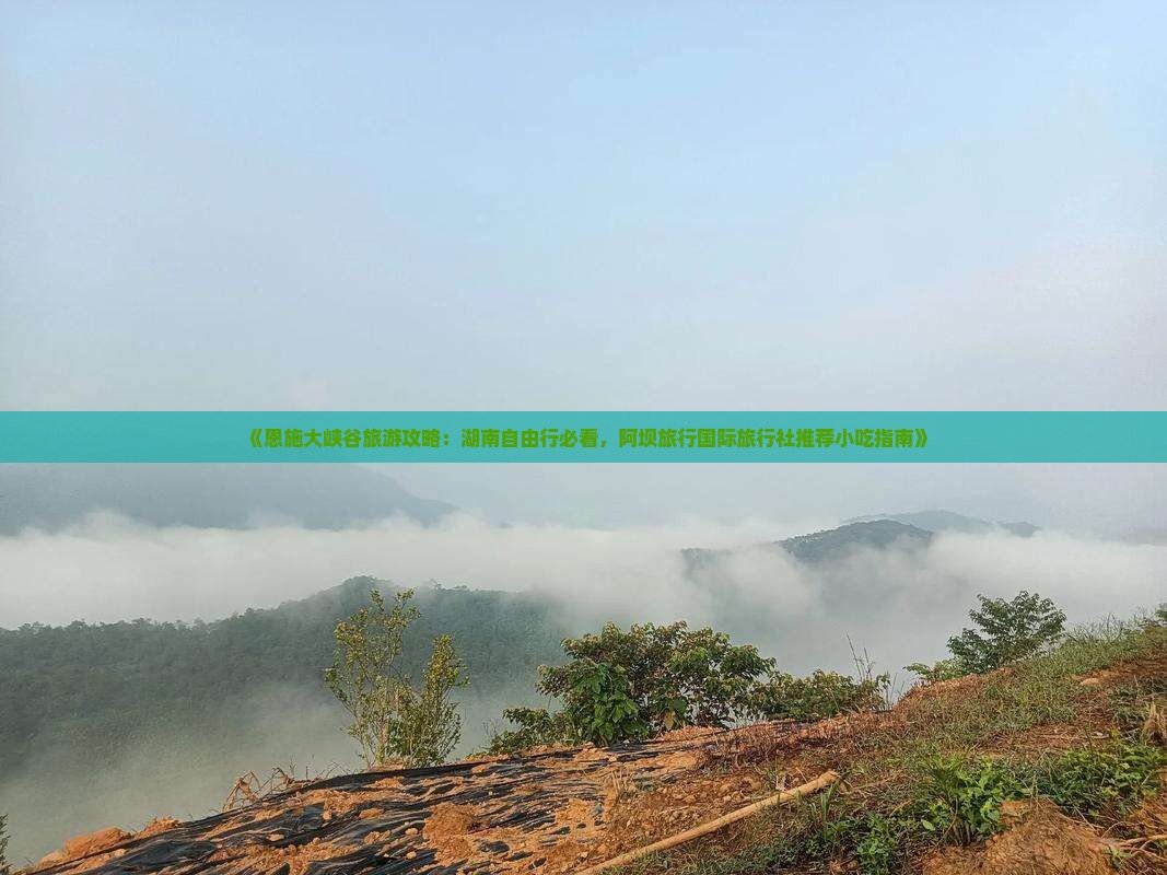 《恩施大峡谷旅游攻略：湖南自由行必看，阿坝旅行国际旅行社推荐小吃指南》