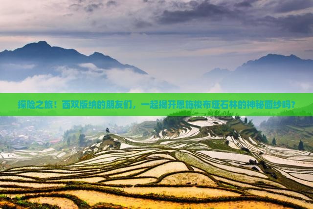 探险之旅！西双版纳的朋友们，一起揭开恩施梭布垭石林的神秘面纱吗？