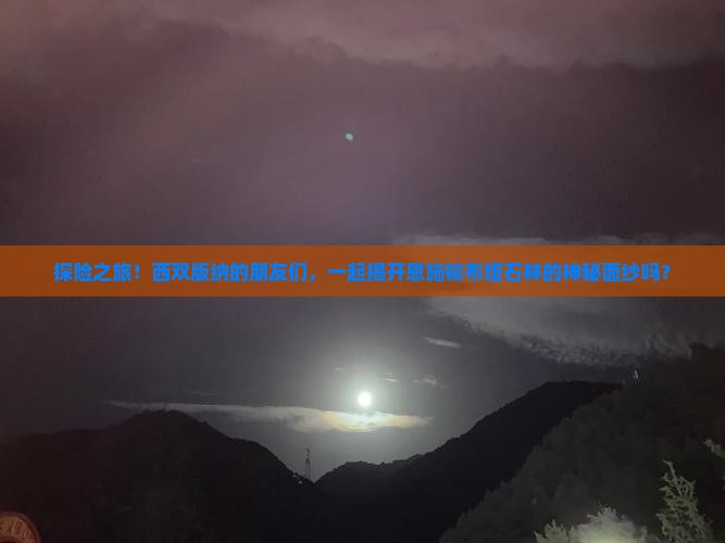 探险之旅！西双版纳的朋友们，一起揭开恩施梭布垭石林的神秘面纱吗？