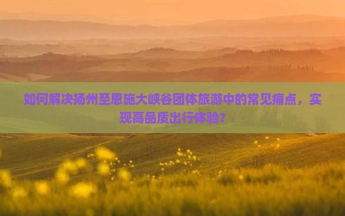 如何解决扬州至恩施大峡谷团体旅游中的常见痛点，实现高品质出行体验？
