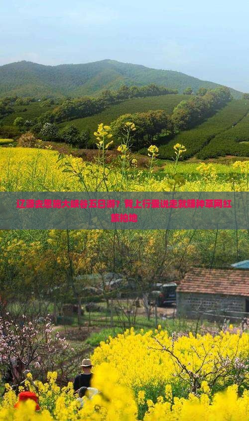 辽源去恩施大峡谷五日游？背上行囊说走就赚种草网红旅拍地