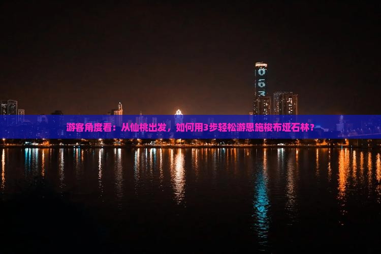 游客角度看：从仙桃出发，如何用3步轻松游恩施梭布垭石林？