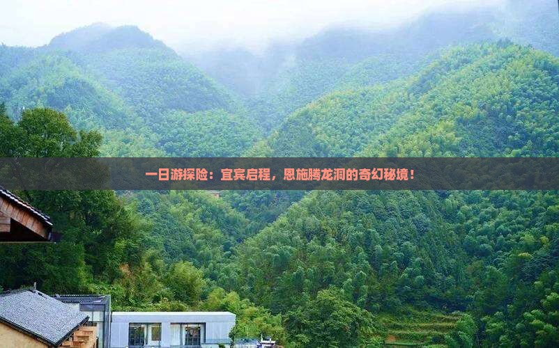 一日游探险：宜宾启程，恩施腾龙洞的奇幻秘境！
