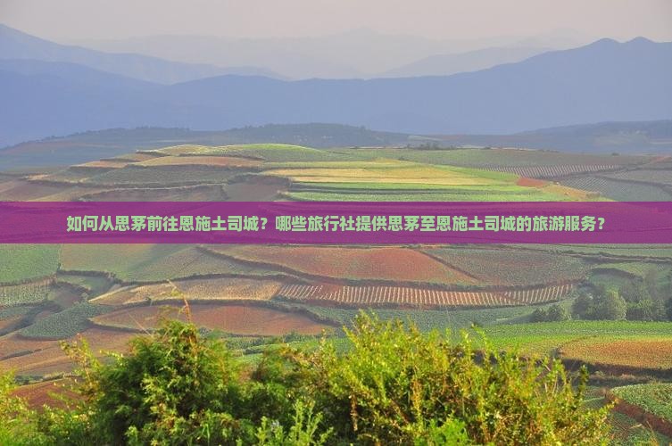 如何从思茅前往恩施土司城？哪些旅行社提供思茅至恩施土司城的旅游服务？