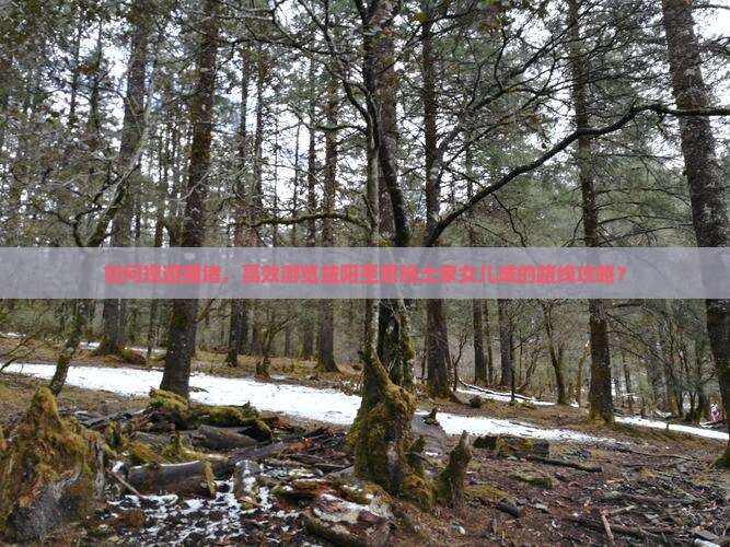 如何规避拥堵，高效游览益阳至恩施土家女儿城的路线攻略？
