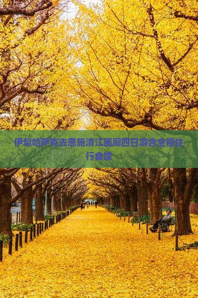 伊犁哈萨克去恩施清江画廊四日游含全程住行食娱