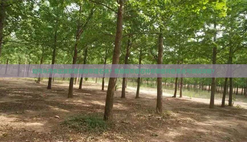 如何从丹东出发到恩施梭布垭石林？恩施梭布垭石林有哪些特色景点与游玩攻略？