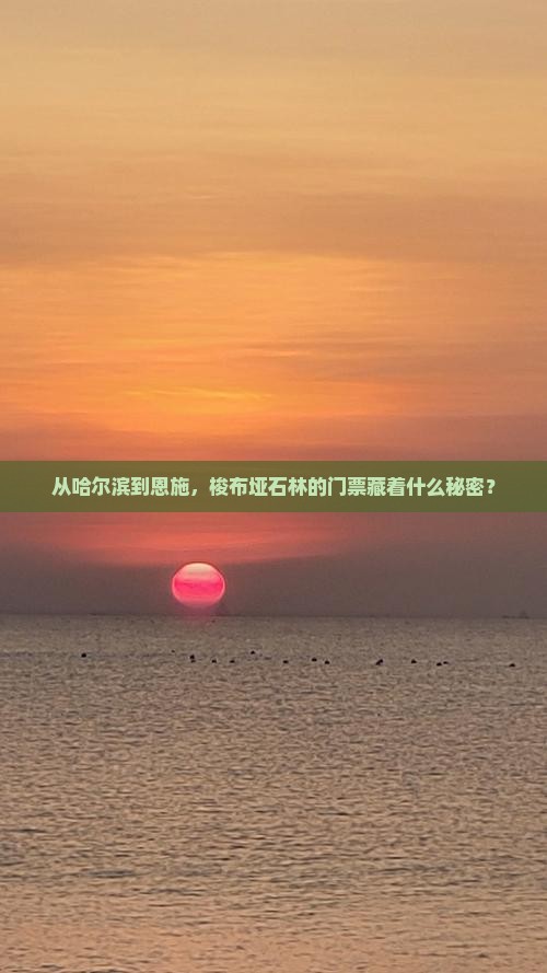 从哈尔滨到恩施，梭布垭石林的门票藏着什么秘密？