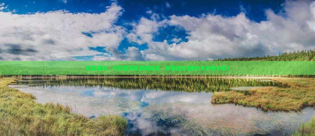 吃货朋友，兴安盟到恩施腾龙洞，有哪些必尝的5大特色小吃？