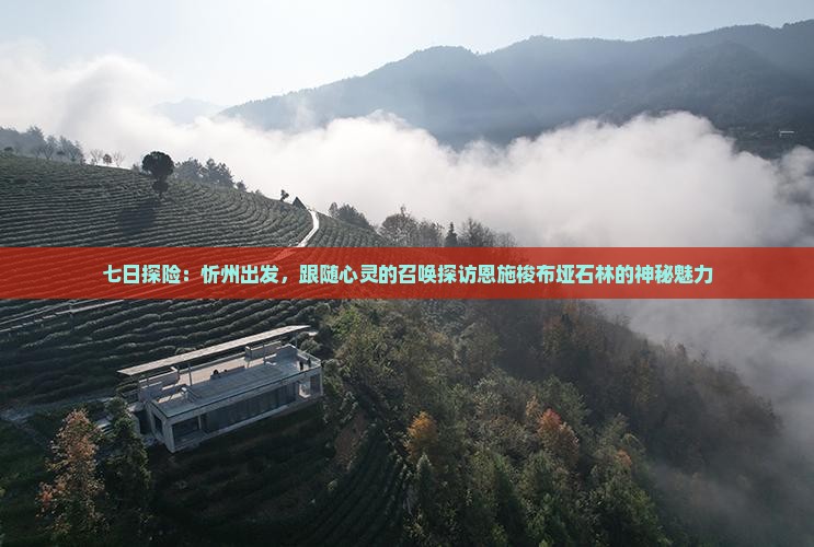 七日探险：忻州出发，跟随心灵的召唤探访恩施梭布垭石林的神秘魅力
