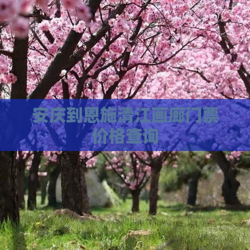 安庆到恩施清江画廊门票价格查询