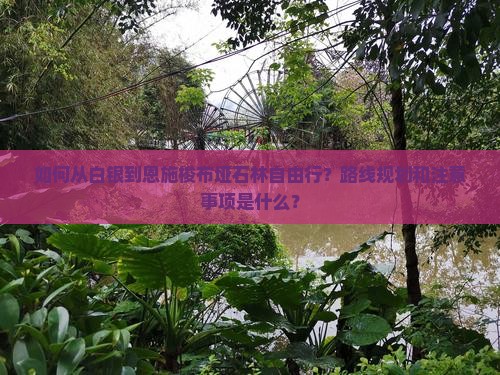 如何从白银到恩施梭布垭石林自由行？路线规划和注意事项是什么？