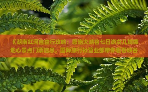 《湖南红河自由行攻略：恩施大峡谷七日游女儿蝴蝶地心景点门票信息，国际旅行社营业部带你看看峡谷之美》