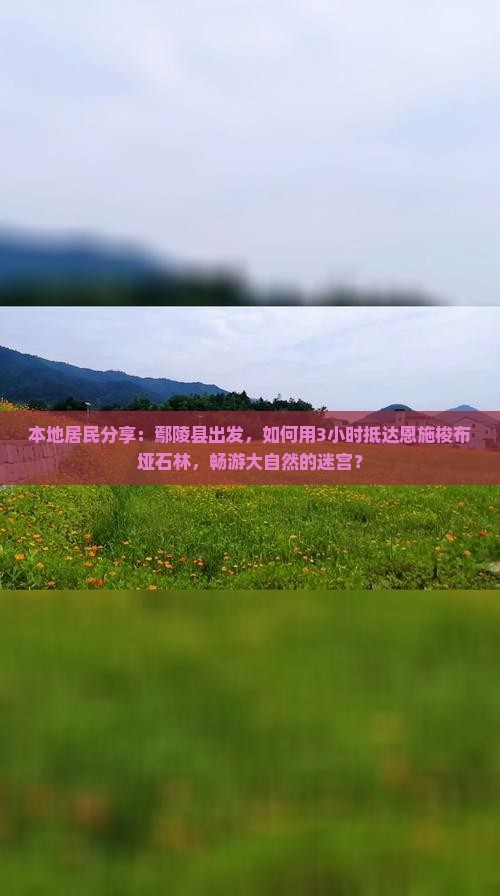 本地居民分享：鄢陵县出发，如何用3小时抵达恩施梭布垭石林，畅游大自然的迷宫？