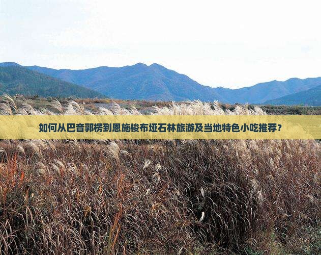 如何从巴音郭楞到恩施梭布垭石林旅游及当地特色小吃推荐？