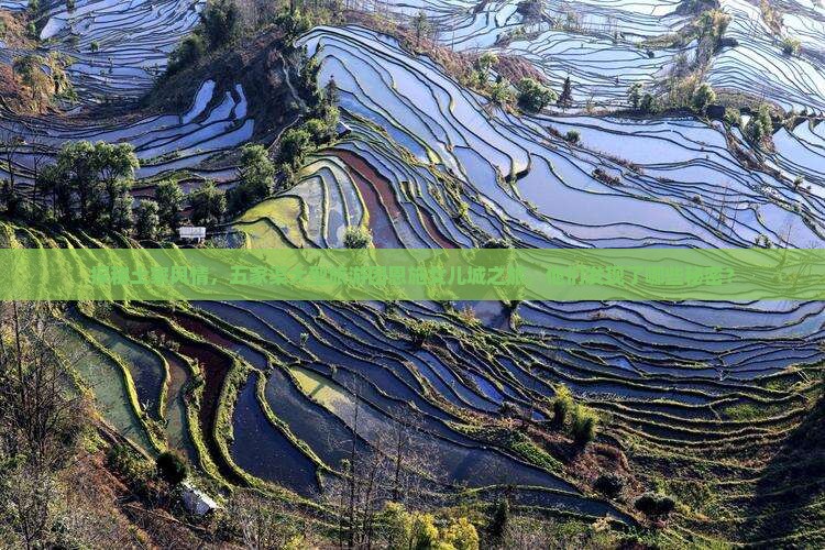 探秘土家风情，五家渠大型旅游团恩施女儿城之旅，他们发现了哪些秘密？