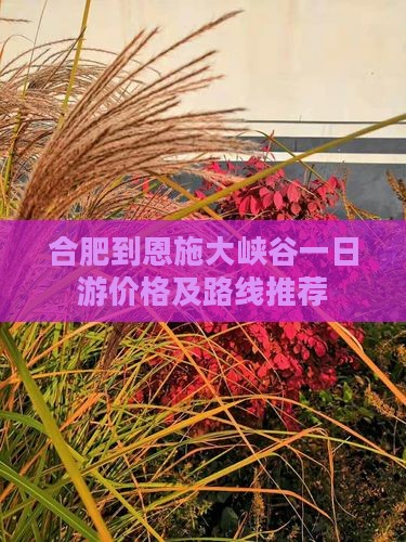 合肥到恩施大峡谷一日游价格及路线推荐
