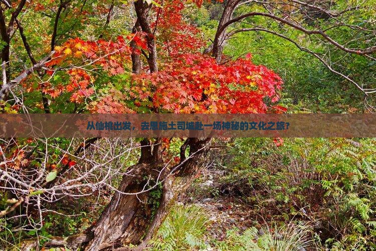 从仙桃出发，去恩施土司城赴一场神秘的文化之旅？