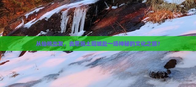 从仙桃出发，去恩施土司城赴一场神秘的文化之旅？