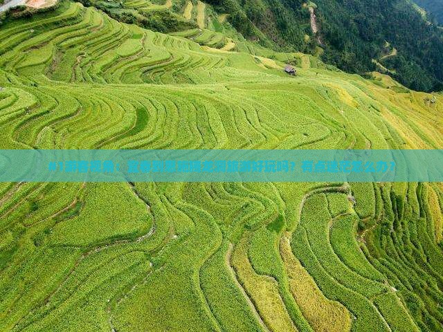 #1游客视角：宜春到恩施腾龙洞旅游好玩吗？有点迷茫怎么办？