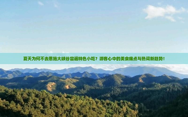 夏天为何不去恩施大峡谷尝遍特色小吃？游客心中的美食痛点与热词新趋势！