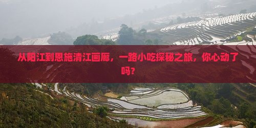从阳江到恩施清江画廊，一路小吃探秘之旅，你心动了吗？