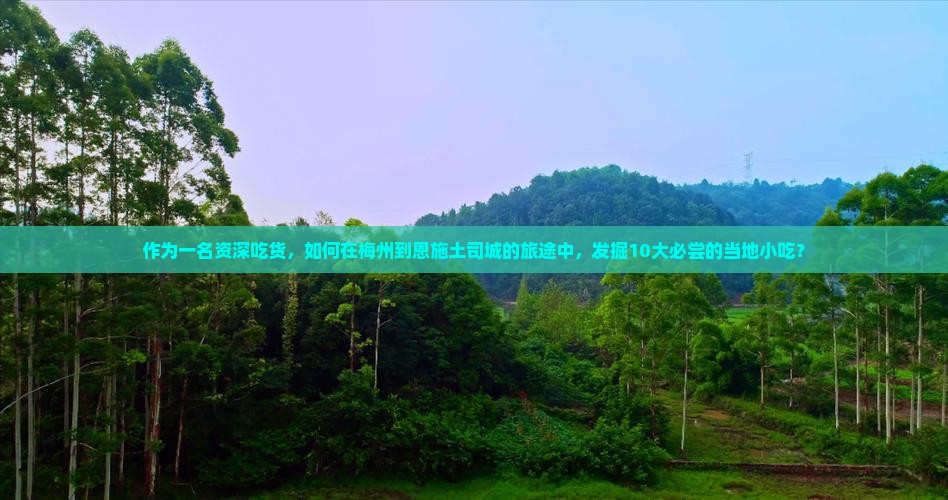 作为一名资深吃货，如何在梅州到恩施土司城的旅途中，发掘10大必尝的当地小吃？