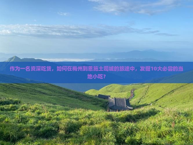 作为一名资深吃货，如何在梅州到恩施土司城的旅途中，发掘10大必尝的当地小吃？