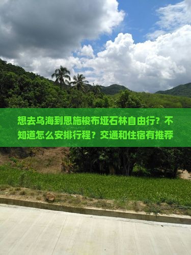 想去乌海到恩施梭布垭石林自由行？不知道怎么安排行程？交通和住宿有推荐吗？