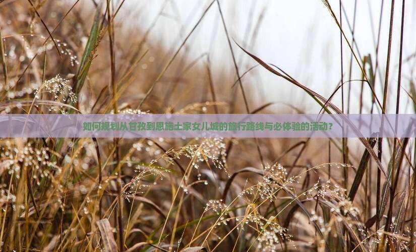 如何规划从甘孜到恩施土家女儿城的旅行路线与必体验的活动？