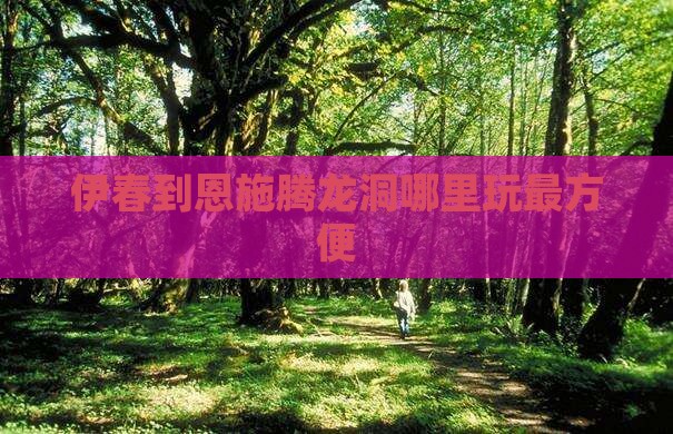 伊春到恩施腾龙洞哪里玩最方便