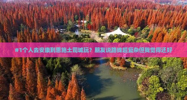 #1个人去安康到恩施土司城玩？朋友说路线超复杂但我觉得还好