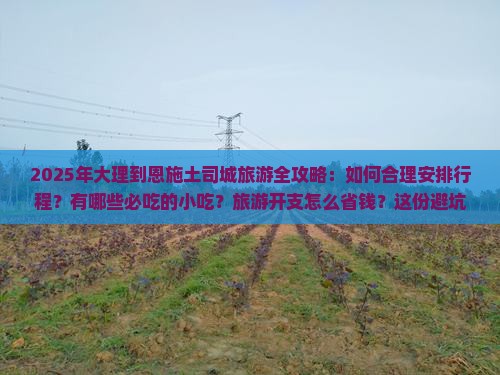 大理到恩施土司城旅游小吃