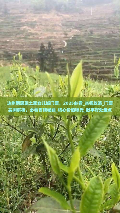 达州到恩施土家女儿城门票