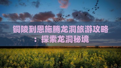 铜陵去恩施腾龙洞自由行