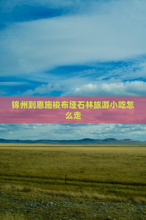 锦州到恩施梭布垭石林旅游小吃