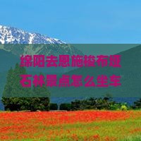 绵阳去恩施梭布垭石林景点