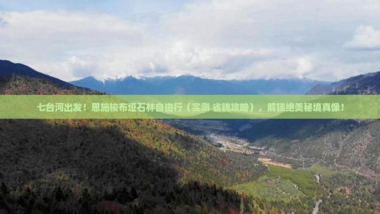 七台河去恩施梭布垭石林自由行